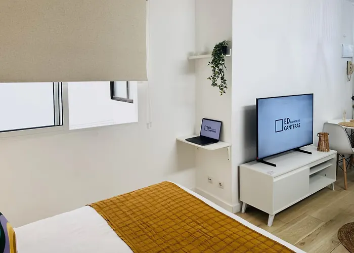 公寓 Ed Playa De Canteras 大加那利岛拉斯帕尔马斯